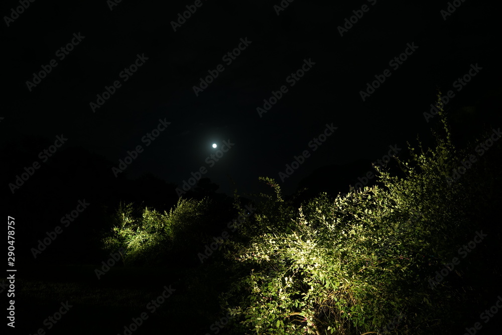 Naklejka premium 偕楽園 月見の会