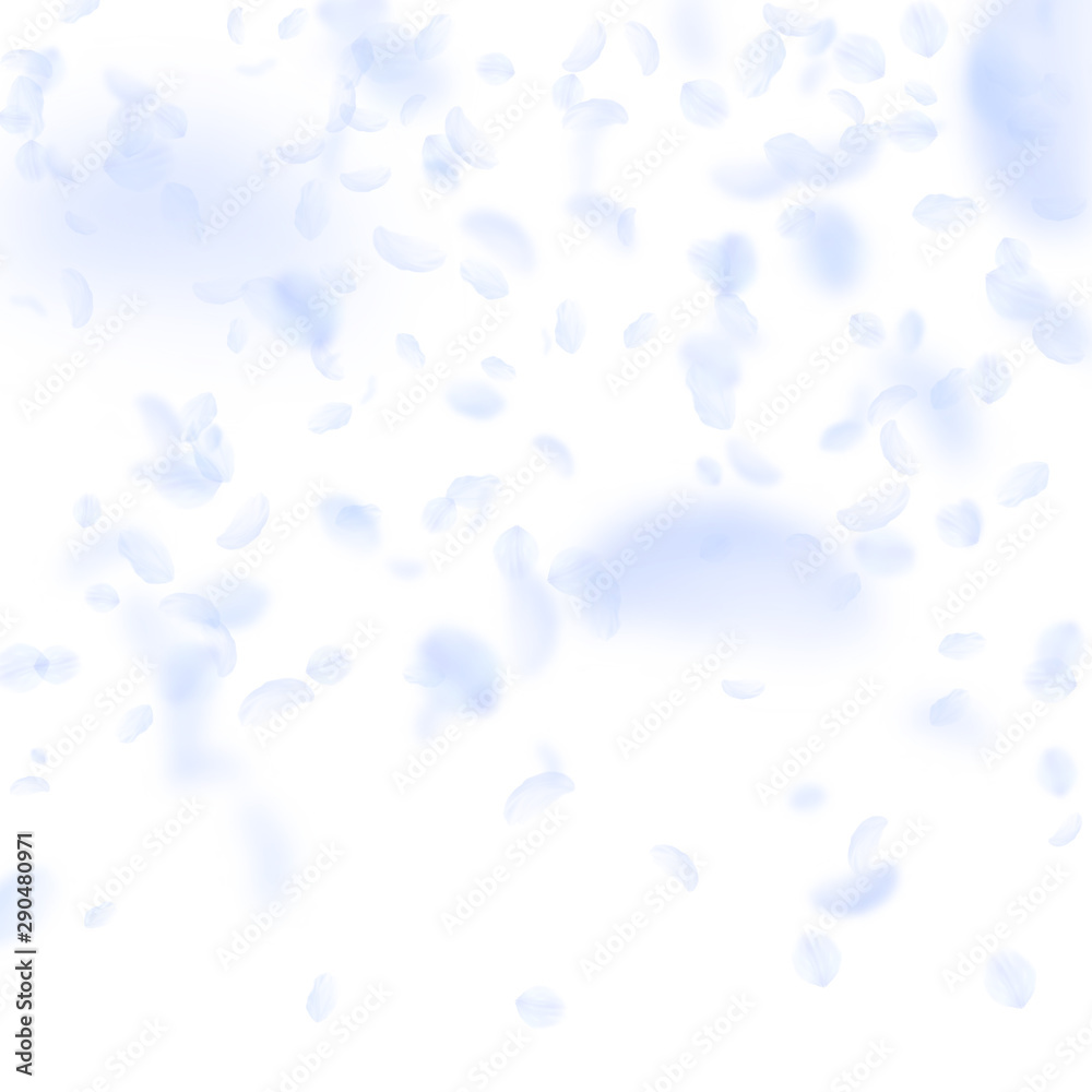 Light blue flower petals falling down. Wondrous ro Light blue flower petals falling down. Wondrous ro