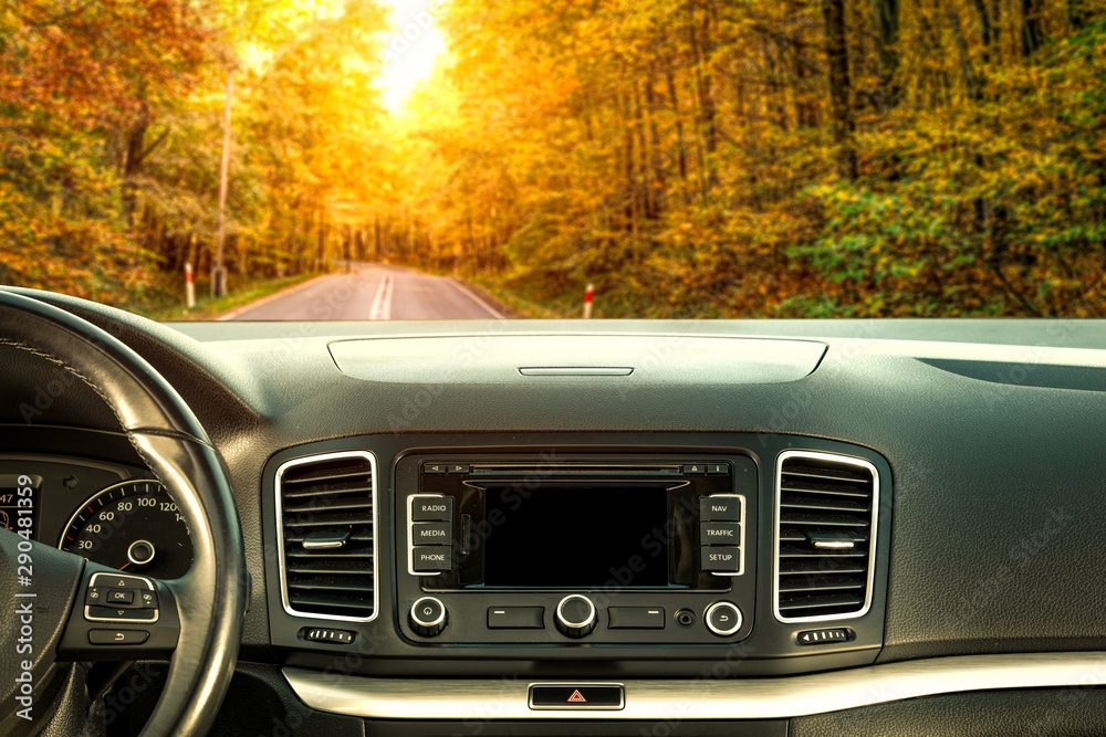 Car interior and autumn road in forest 
