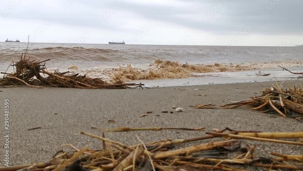 Slow motion, beach after an extreme storm, tsunami full of broken branch with dirty water. Slow motion, beach after an extreme storm, tsunami full of broken branch with dirty water.