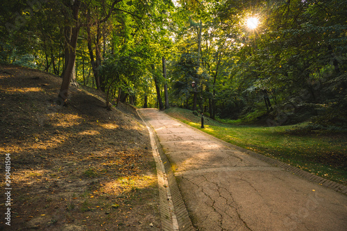 calm and peaceful morning park scenic landscape view with sun rise light through green foliage and lonely road for walking and promenade in silent natural environment  