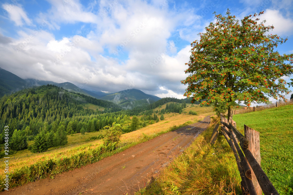 Amazing mountain landscape with fog and with a dirt road. Sunny morning after rain. Carpathian, Ukraine, Europe