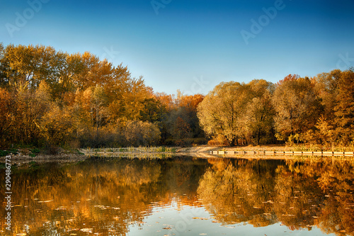 Beautiful autumn forest. Landscape with forest and lake
