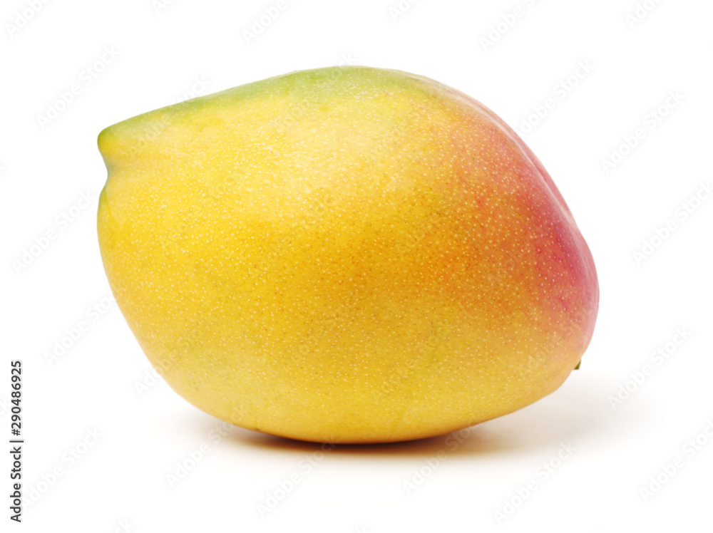 Mango on white background