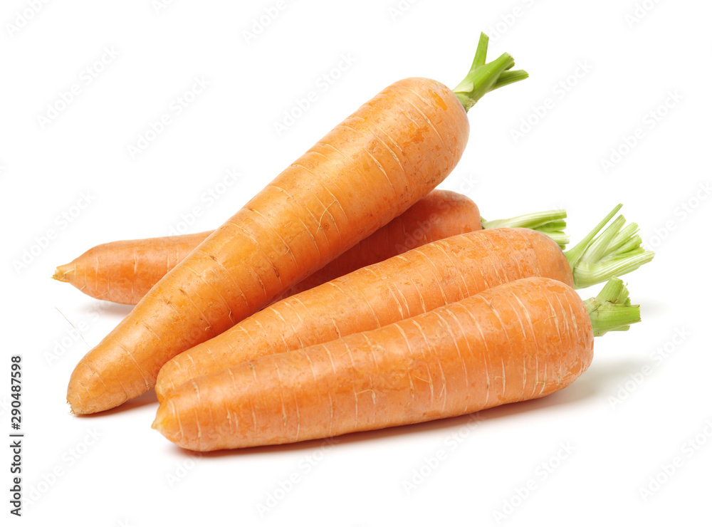 Fresh carrot on a white background - obrazy, fototapety, plakaty 
