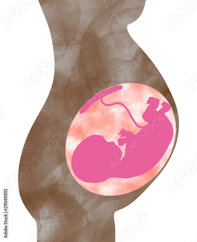 a fetus in the body shape お腹の胎児