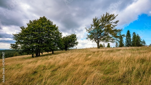 Fototapeta Naklejka Na Ścianę i Meble -  Beskidy Brenna