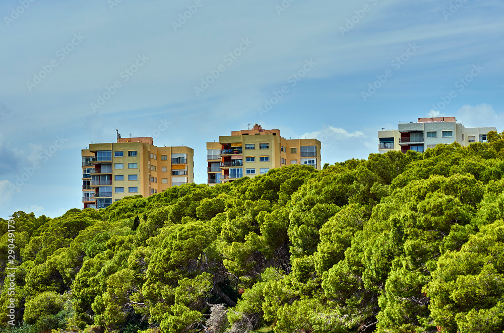 Urban landscape and trees in El Saler, Spain