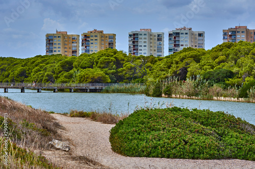 Urban landscape and trees in El Saler, Spain