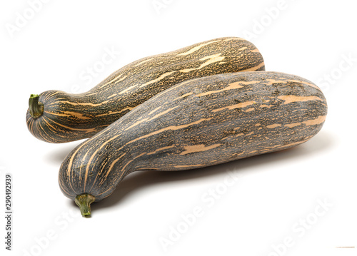 Wallpaper Mural Orange pumpkin on white background Torontodigital.ca