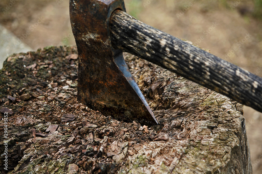 una hacha clavada en un trozo de madera Stock Photo | Adobe Stock