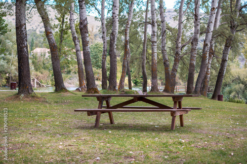 wooden table to snack in the middle of nature, surrounded by trees.