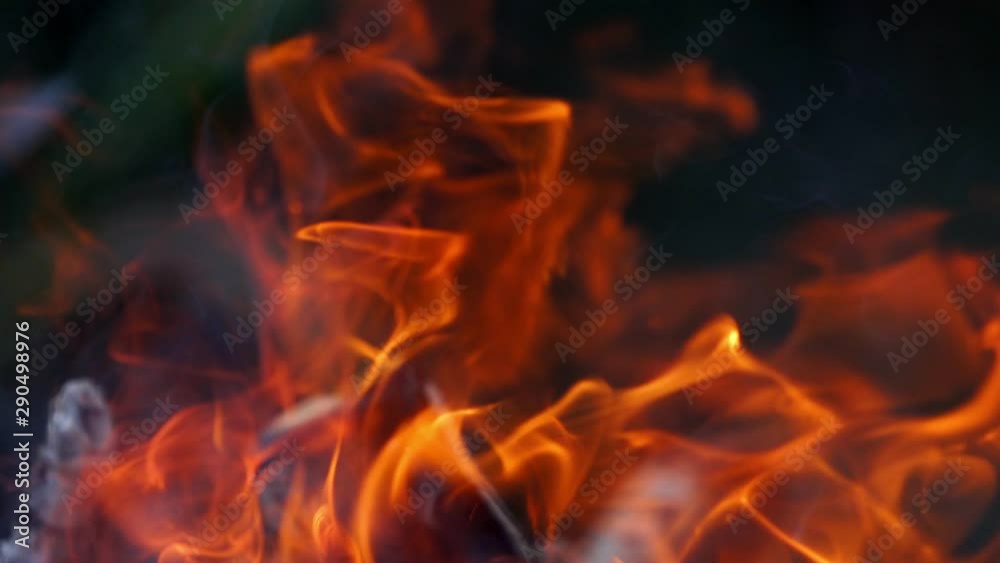 Burning fire. Bonfire. Closeup of flames burning on black background. Burning fire. Bonfire. Closeup of flames burning on black background.