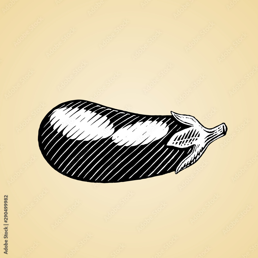 Ink Sketch of an Eggplant with White Fill Ink Sketch of an Eggplant with White Fill