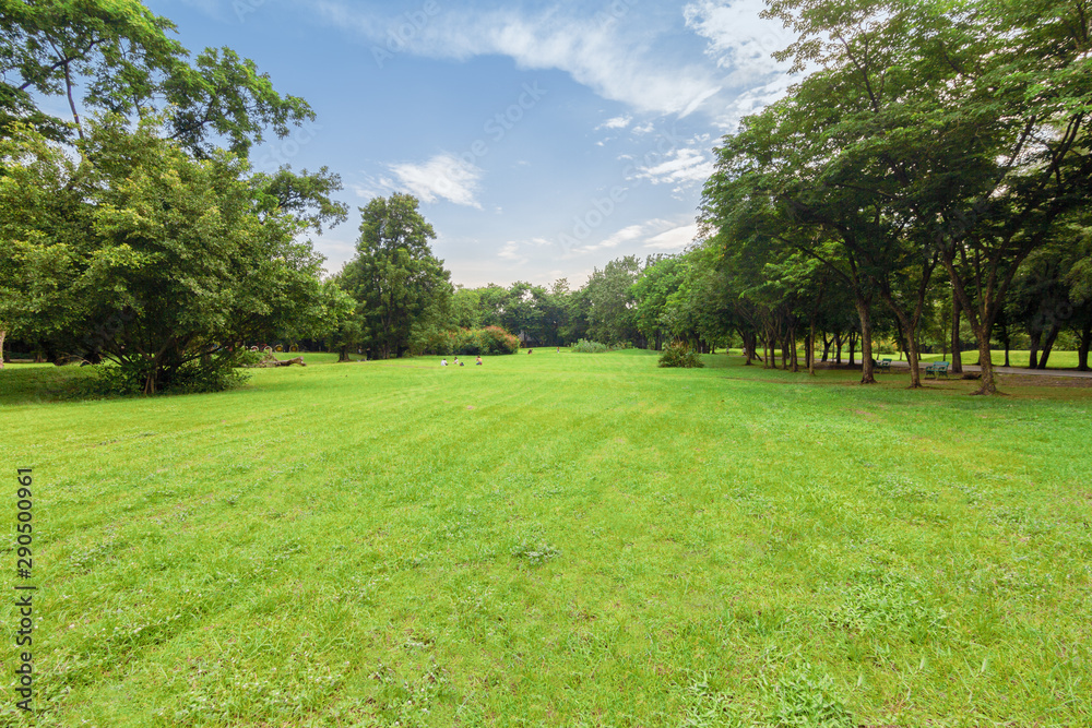 Natural park in the city with bright green trees.