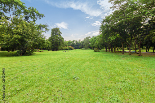 Natural park in the city with bright green trees.
