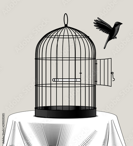 Bird cage and a black bird flying away