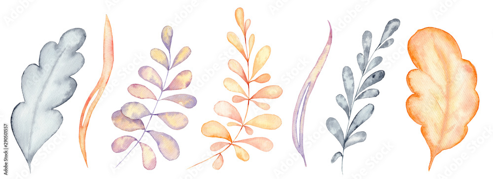 Obraz premium Autumn leaves watercolor set