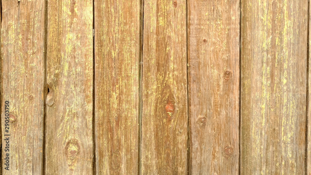 Obraz premium Fence from the boards. Wood texture. Background for interior design.