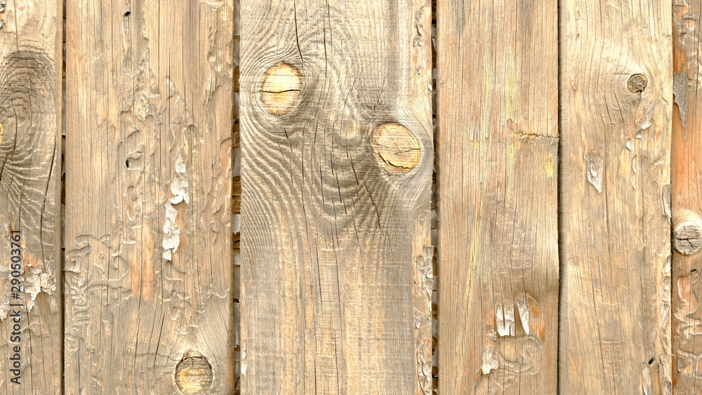 Obraz premium Fence from the boards. Wood texture. Background for interior design.