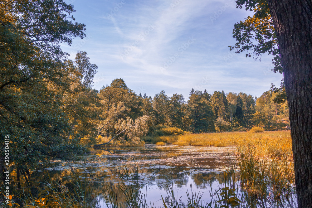 Fototapeta premium Monrepos park in autumn season. Forest and lake. Vyborg, Russia.
