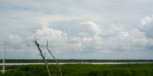 Perfect Sky with River and Green View beside the Padma © Md. Mahmudul Hasan