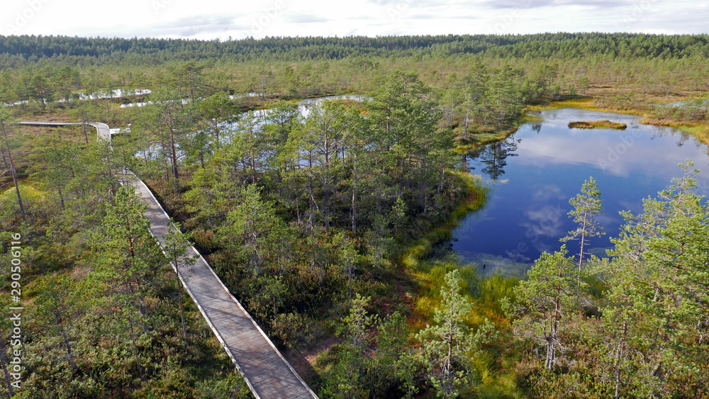 View on a boardwalk in the Viru bog in the Lahemaa National Park in Estonia. There is an observation tower in the middle of it. The trail is marked and there are signposts.