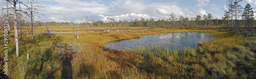 View on the Viru bog in the Lahemaa National Park in Estonia. There is a boardwalk with an observation tower in the middle of it. The trail is marked and there are signposts.