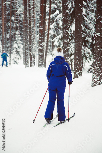 Ccross-country skiing in snovy forest. Winter activities of Latvia.