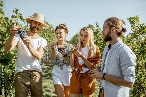 Group of a young friends tasting grapes on the vineyard, having fun while hanging out together at the winery on a sunny morning photo