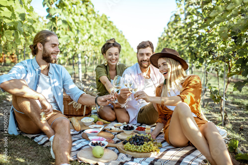 Young friends having a picnic with lots of tasty food and wine, sitting together and having fun on the picnic blanket at the vineyard