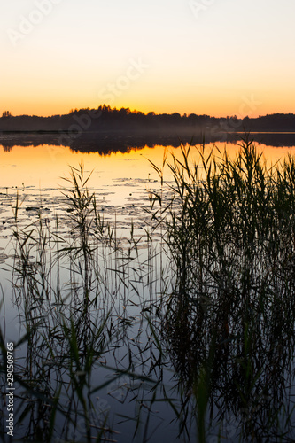 Amazing beautiful golden hour sunset over the lake with reeds.