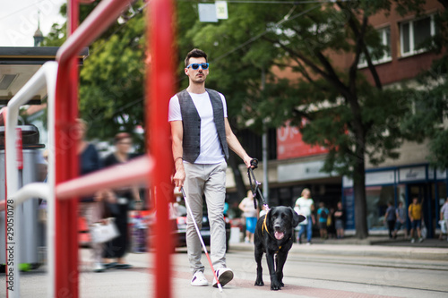 Young blind man with white cane and guide dog walking on pavement in city. photo