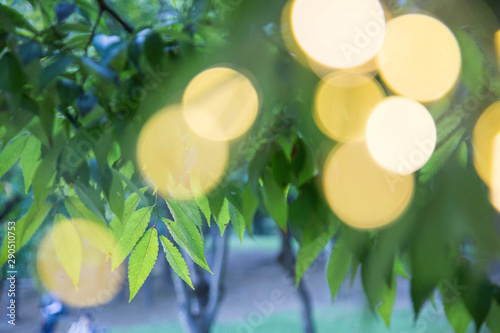 Photos sometimes make human  eyes see different moving light patterns. 