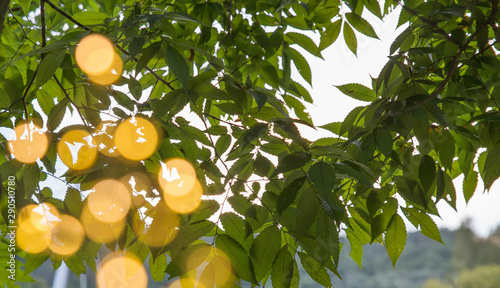 Photos sometimes make human  eyes see different moving light patterns. 