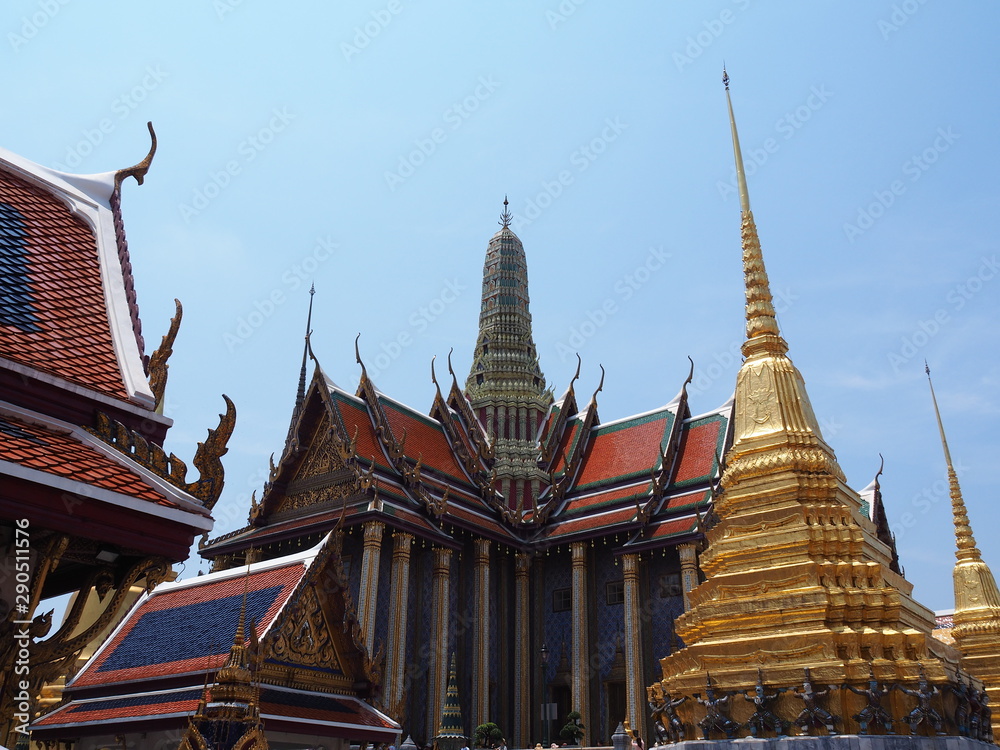 Fototapeta premium OLYMPUS DIGITAL CAMERA