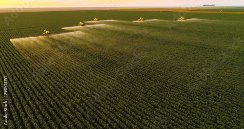 Tablou canvas Spraying pesticides and fertilizers on sunset cotton crop