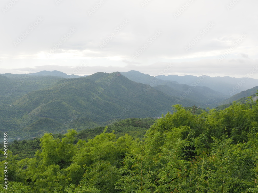 Fototapeta premium OLYMPUS DIGITAL CAMERA