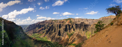 panorama of the fabulous Waimea Valley. Taken from the halfway point on the canyon trail through the valley on the Island of Kauai