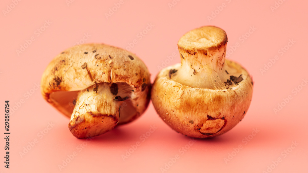 Mushrooms from the forest on a pink background Mushrooms from the forest on a pink background