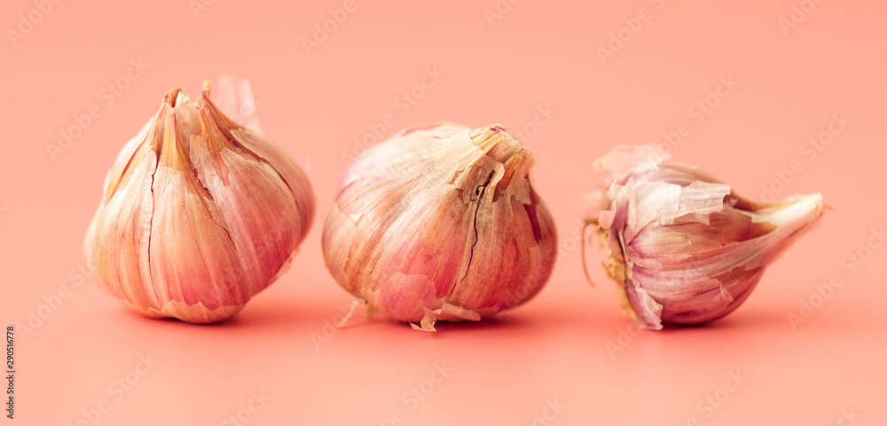 Obraz premium Head of garlic on a pink background