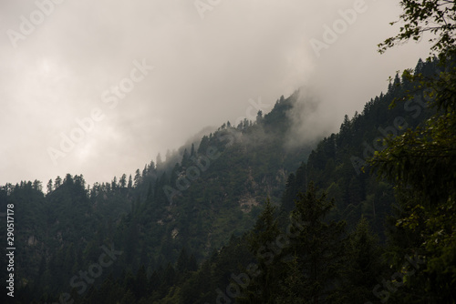 Sale la nebbia