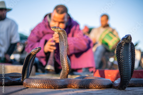 Photography Moroccan Cobra enchanter sitting in the street with his cobra