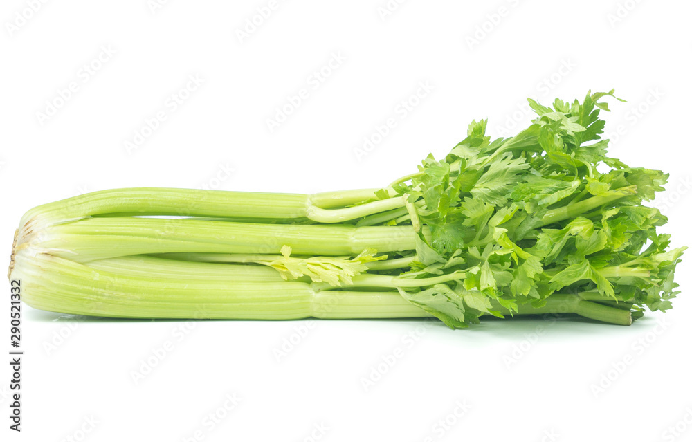 fresh Celery sticks, celery stalk isolated on white background fresh Celery sticks, celery stalk isolated on white background