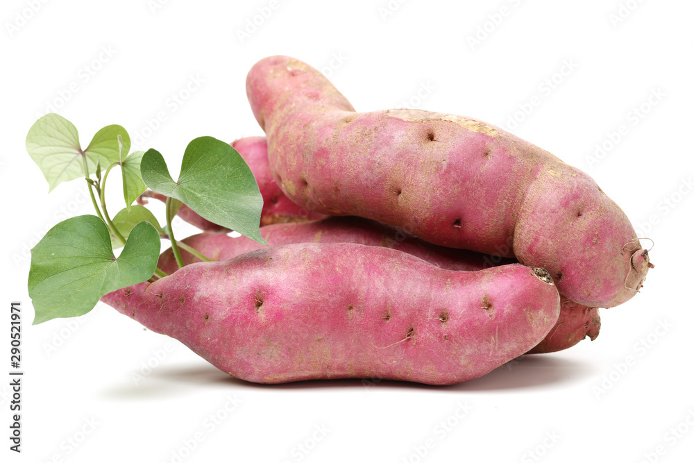 sweet potatoes on the white background sweet potatoes on the white background