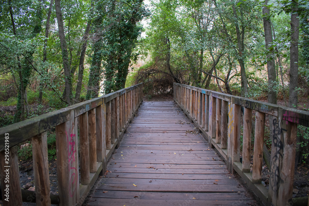 wooden walkway through in deep rain forest