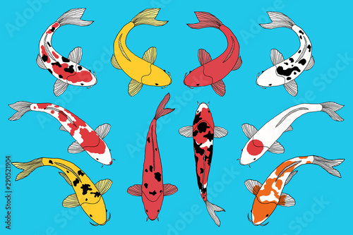 types of koi fishes