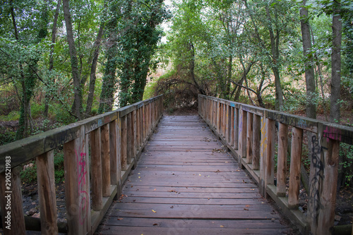 wooden walkway through in deep rain forest