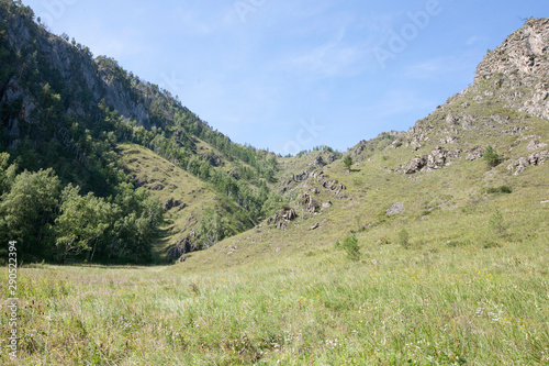 Chechkysh tract, Chemal district, Altai Republic, Russia, month of August