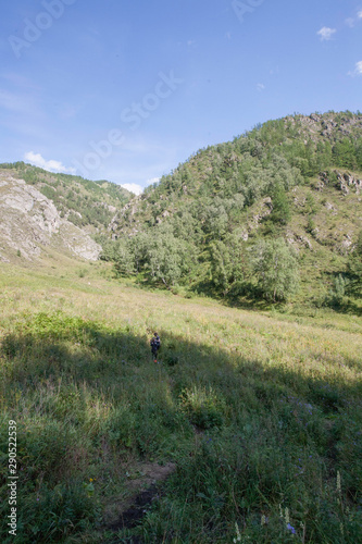 Chechkysh tract, Chemal district, Altai Republic, Russia, month of August
